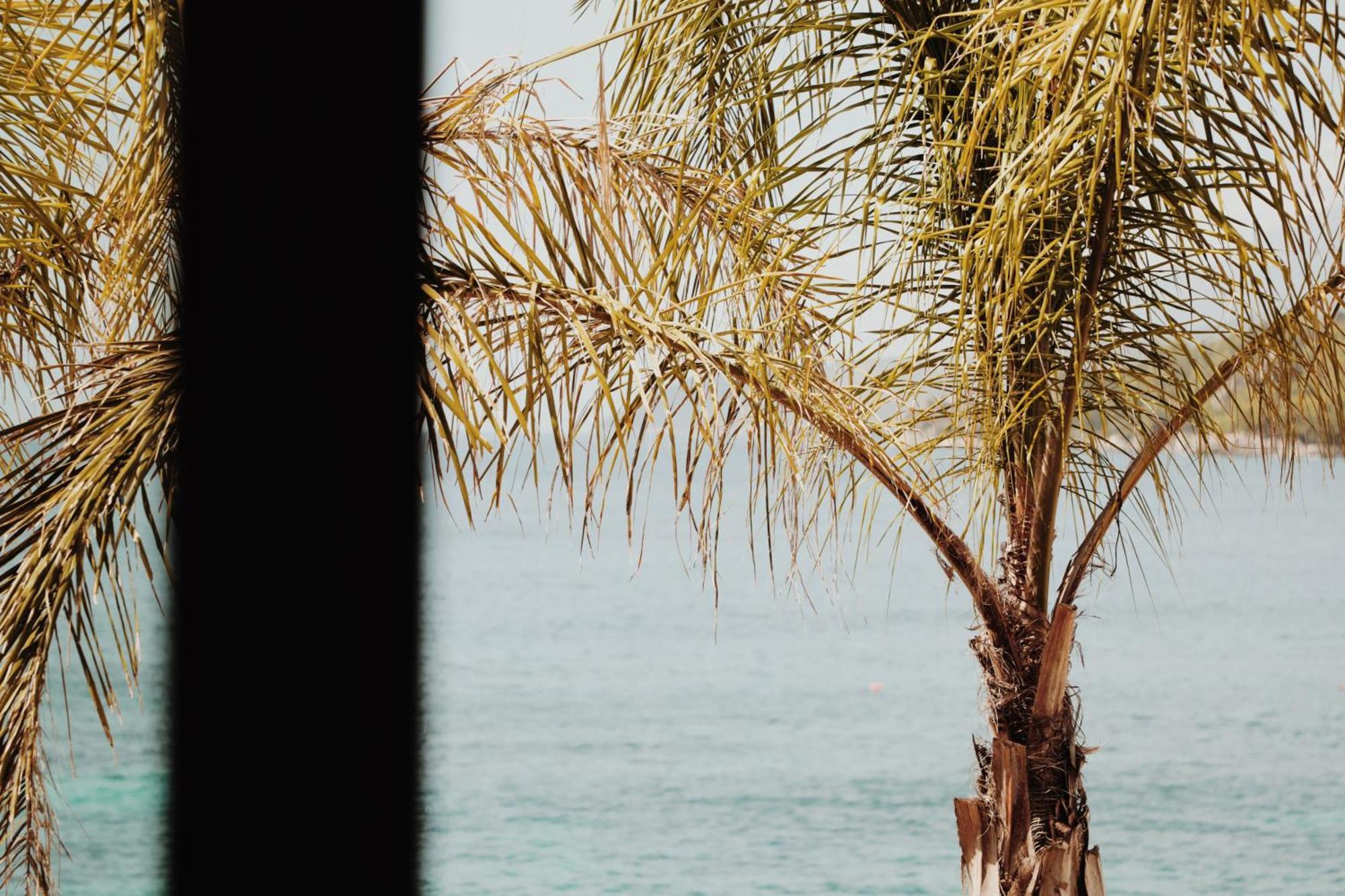 Oniro By Iliria Palace (adults Only) Himare